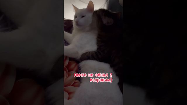 Обнимашки