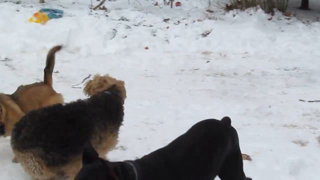 Зимске радости смотреть онлайн