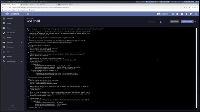 Truenas Scale - Media Series #5 - Recyclarr смотреть онлайн