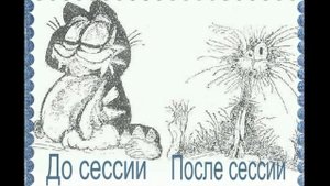 Студенты В Сауне Фото...