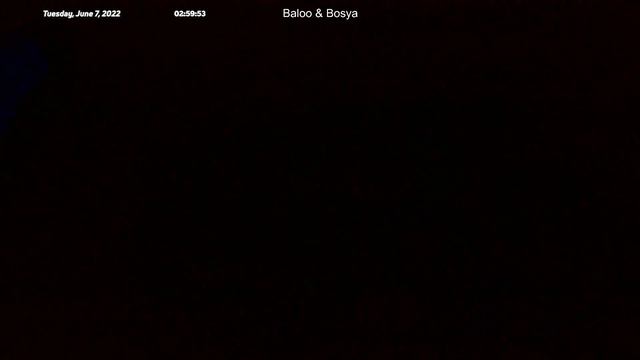 Жизнь котов, когда верные друзья рядом (07.06.2022 (00:00 (UTC+3))) смотреть онлайн