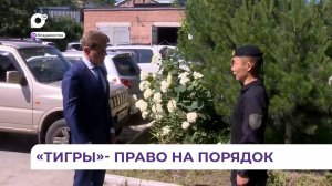 Без комментариев / "Тигры" - право на порядок / 29.07.24