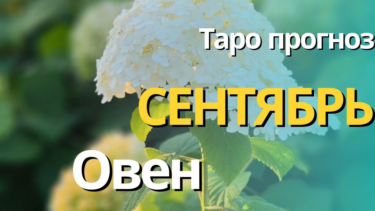 ОВЕН СЕНТЯБРЬ 2023 [Таро прогноз]