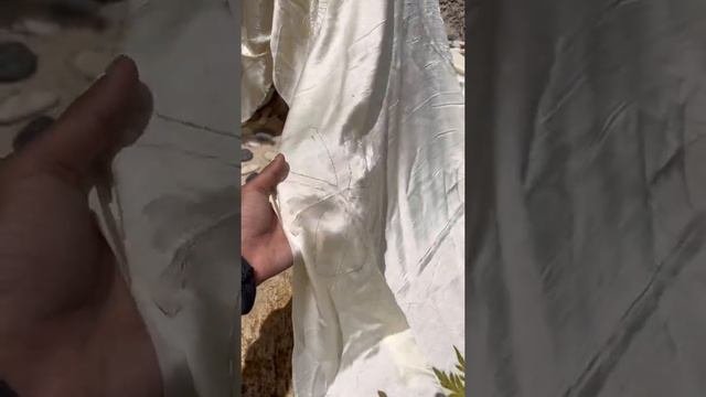 When The Wind Blows On My Favourite Flowers 🍃 || Shibori Making