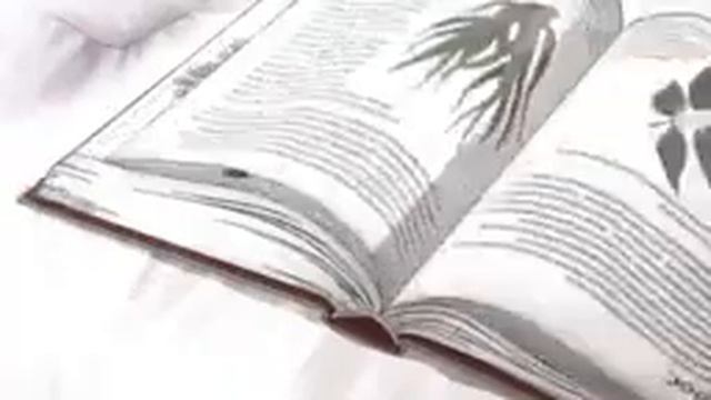 knuга аниме для сказки смотреть онлайн