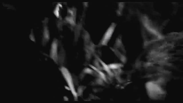 Peter Pan & Wendy Darling ||OUAT || My demons смотреть онлайн