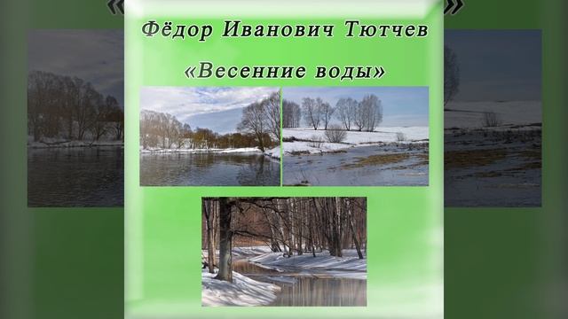 Весенние воды - Тютчев Ф. И. #shorts смотреть онлайн