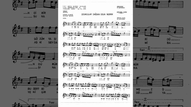 1197 Oduncular Dağdan Odun İndirir