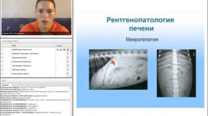 Бесплатный вебинар по рентгенологии