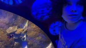 Самый популярный аквариум Стамбула. Как туда добраться. Aqua Floria