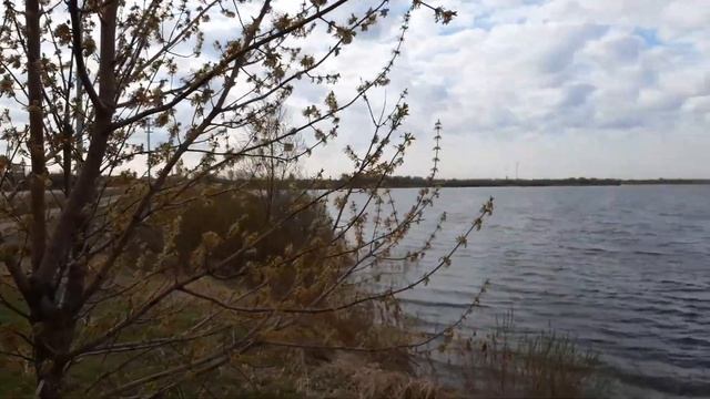 Обзор бинокля Prinz 10×50 смотреть онлайн