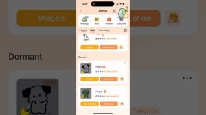 How to DELETE A PET in WIDGETABLE app?