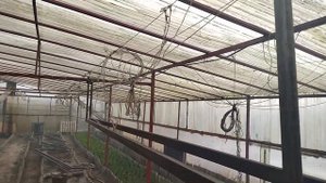 Подвесной металлический стеллаж для рассады в теплицу своими руками