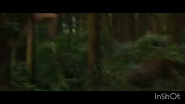 Сага Сумерки на мой саундтрек.   Саундтрек хиты музыкадлядуши фортепианнаямузыка сумерки