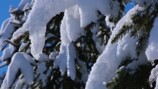 13 февраля - Чудная дата, которая избавляет от всех бед | Лунный Календарь смотреть онлайн