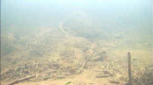 подледная рыбалка на хариуса, РЫБЫ много /ПОДВОДНЫЕ СЪЕМКИ  ноябрь 2019