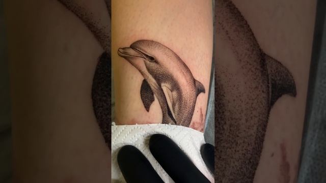 dolphin tattoo #tattoo #tattooartist