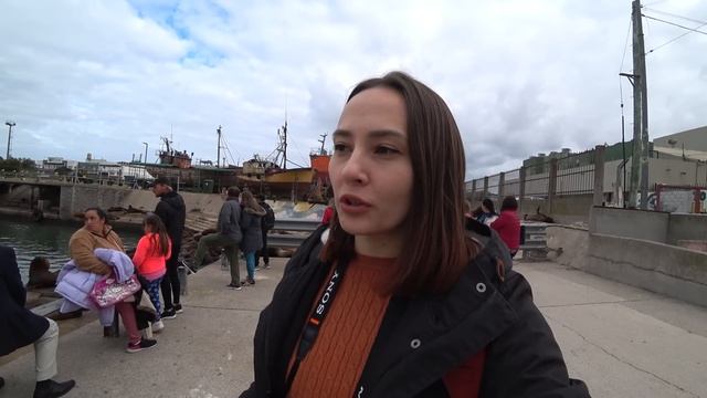 Мар дель Плата не в сезон - морские львы и невероятные виды Атлантического океана ? смотреть онлайн