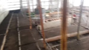 теплица термос для выращивания  томатов  готова к бою