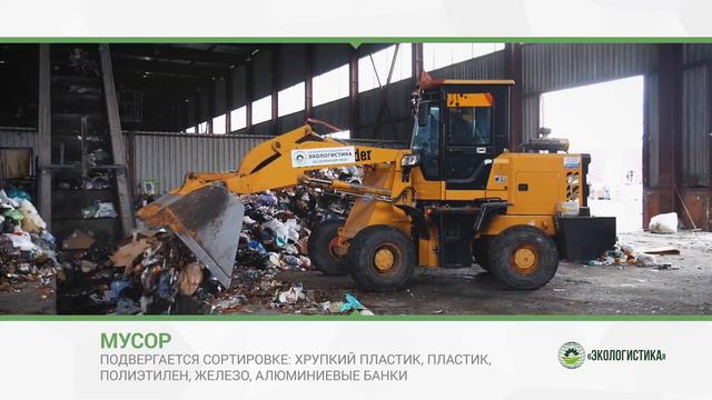 EcoLogistica #2