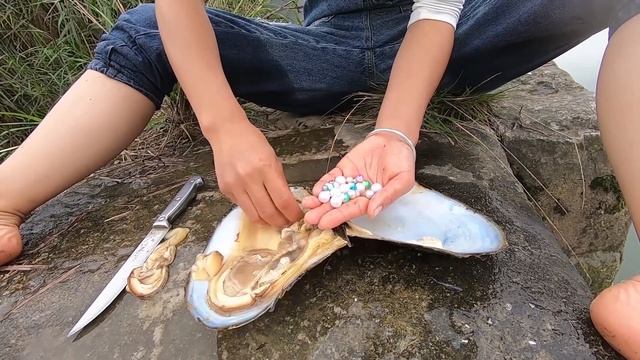 Jewelry making/开蚌,珍珠,冒着严寒来到干旱的水库边，这珍珠收获值了