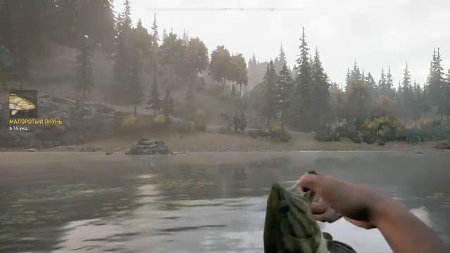 Ловлю поледнего призавого Окуня! (Интиресно, на сколько он потянит?!) смотреть онлайн