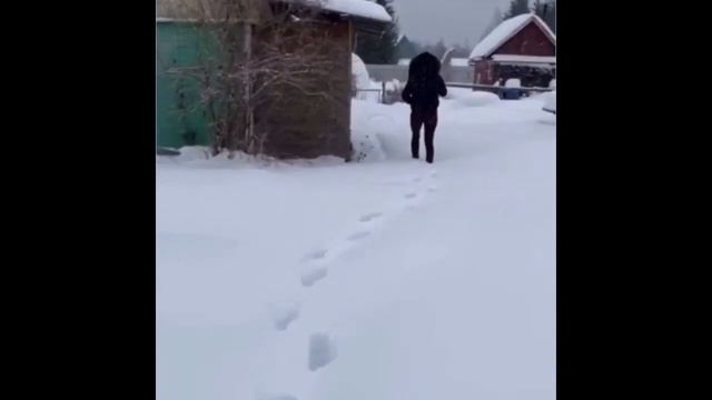 День из жизни риэлтора|Архангельск