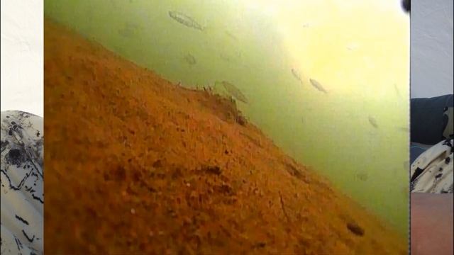 Что она сделала? Рыбалка с подписчицей смотреть онлайн