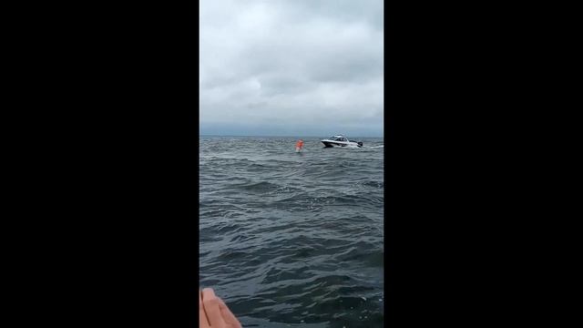 15 июня 2019г. Гонки Петергоф смотреть онлайн