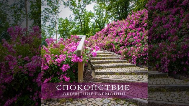 Духовный наставник смотреть онлайн