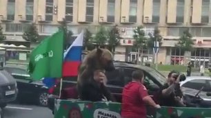 Ничего необычного, просто по Москве катается медведь с вувузелой
