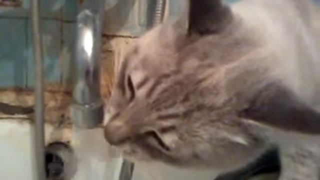 Очень хочется пить!!! смотреть онлайн