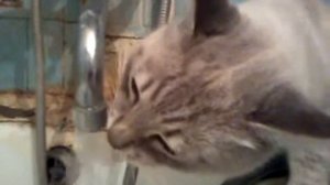 Очень хочется пить!!!