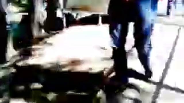 Мы идём в зоопарк смотреть онлайн