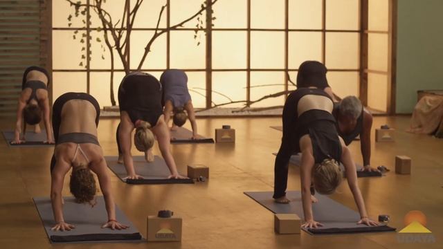 Lolo Lam, Wring it Out - FULL CLASS I UDAYA.com смотреть онлайн