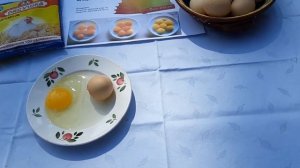 Цвет желтка яйца. Чем кормить кур несушек.
