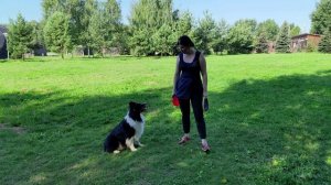 АО Барри - вольт от колена стоя, переход к жонглированию и бабочка в движении