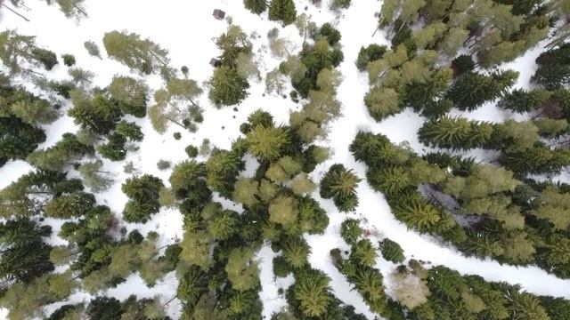 История Муж использовал свою жену, иногда быть подкаблучником очень полезно смотреть онлайн