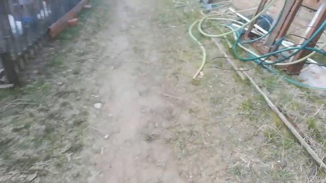 Как проходит самоизоляция в деревне. смотреть онлайн