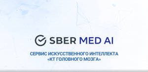 Сервис искусственного интеллекта "КТ головного мозга"