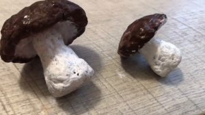 ОСЕННИЕ ПОДЕЛКИ СВОИМИ РУКАМИ на КОНКУРС Поделки на тему Осень /Поделки из Природного Материала