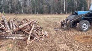 Как подготовить поле для весенней посадки голубики