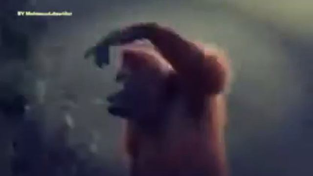 MIRT videyo смотреть онлайн