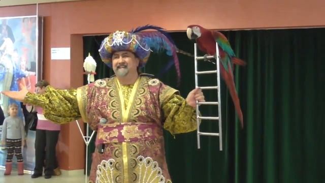 Как научить попугая трюкам в Москве, 8(965)380-13-11 смотреть онлайн