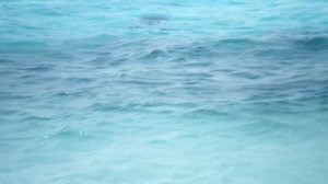 Субъективный, но честный отзыв об отдыхе на Мальдивах. Вы еще хотите там побывать?