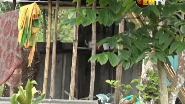 University graduate turned to farming to tackle poverty смотреть онлайн