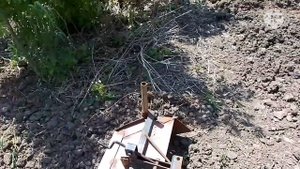 Высокие грядки под клубнику-землянику мотоблоком. Огород, что уже посадил. Огурец Арктика в теплице