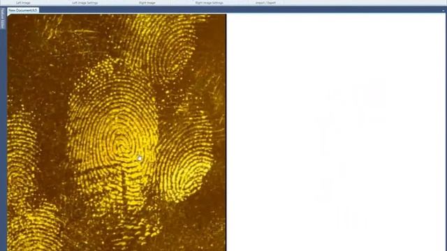 Enhancement of Fingerprints using Forensic Comparison Software смотреть онлайн