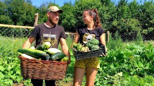 СОБРАЛИ УРОЖАЙ С ЗАБРОШЕННОГО УЧАСТКА. ПРИВЕЗЛИ ЗЕРНО ДЛЯ ЖИВОТНЫХ И ПОЛУЧИЛИ ПОСЫЛКУ. ДЕРЕВНЯ