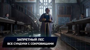 Hogwarts Legacy - Запретный лес (Все сундуки с сокровищами)